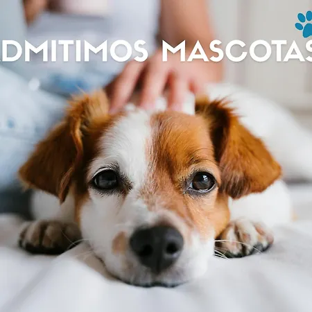 Margas 3000 Apartment *