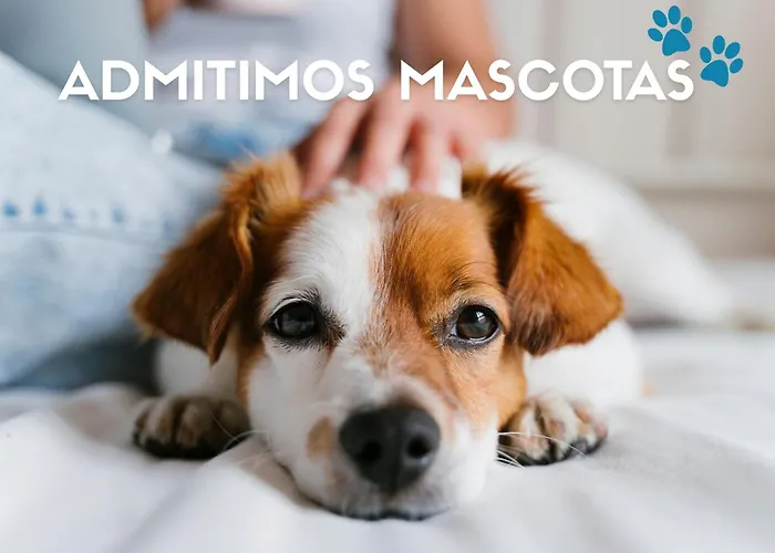 Margas 3000 Apartment *